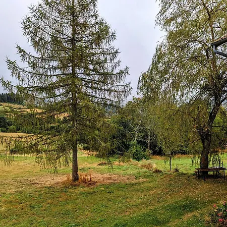 Maison De Nature Avec Grand Jardin Et Proximite La Chaise-dieu - Fr-1-582-242 *