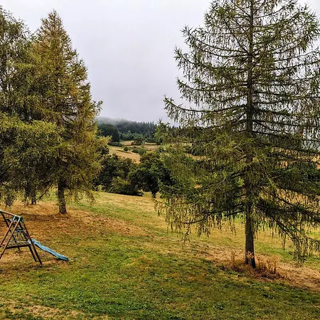 Maison De Nature Avec Grand Jardin Et Proximite La Chaise-dieu - Fr-1-582-242
